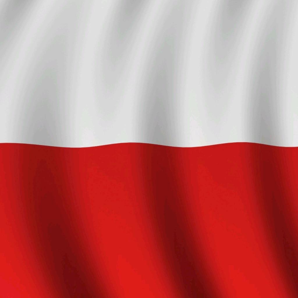 Polish Actual Flag