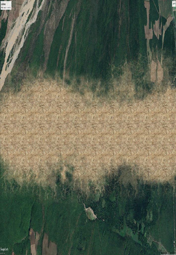 qertwet 1