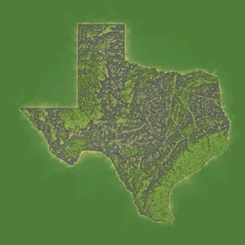 Texas V2