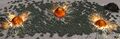 11 - The Atomic Solution to Monospam.jpg